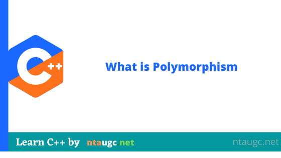 What is Polymorphism